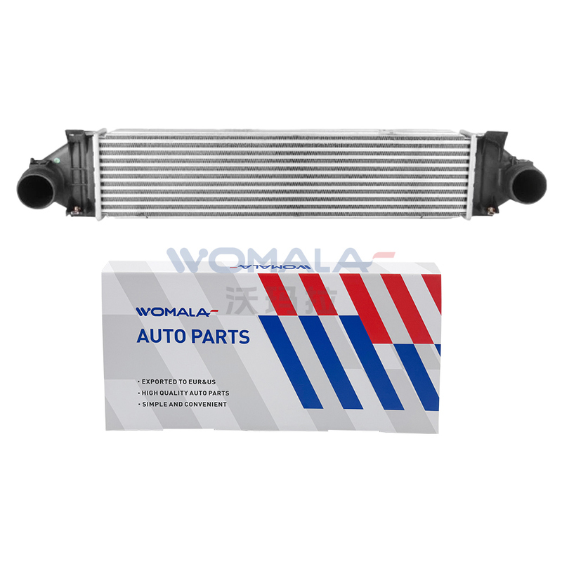 วอมมาลา ออโต้ คูลลิ่ง พาร์ทส์ อินเตอร์คูลเลอร์ OE 31338473 สำหรับ Auto Parts V40 V70 S80 C30 XC70