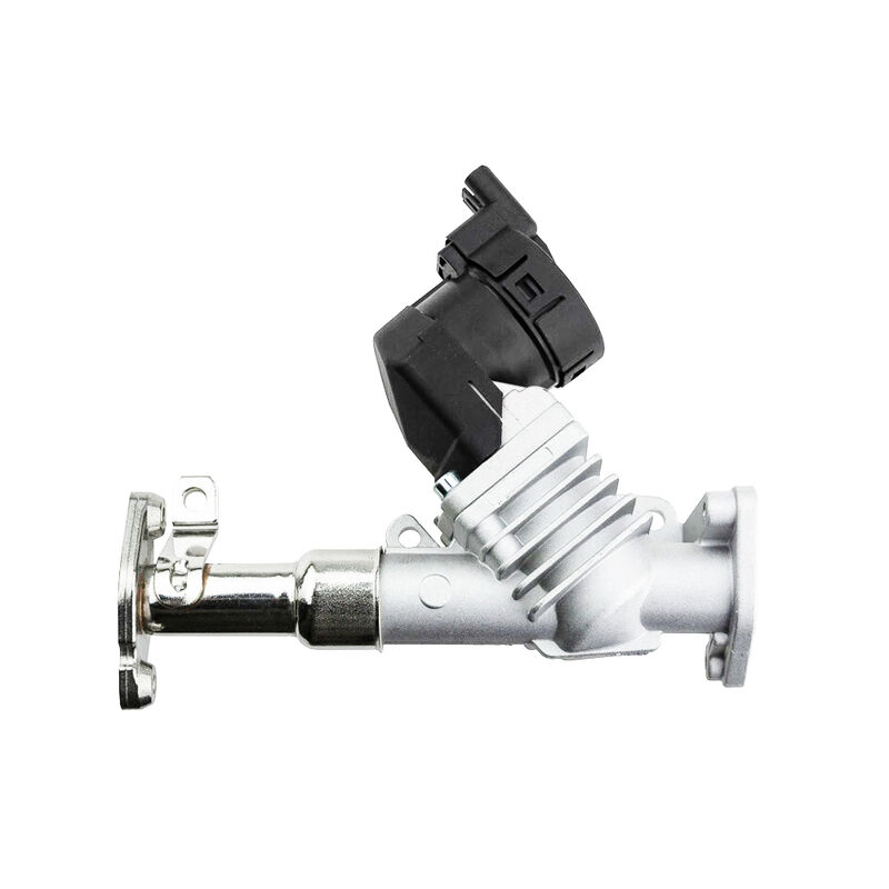 Womala Auto Parts EGR วาล์ว 11717563241 11718479590 สําหรับ Bmw 1/3/5 ซีรีย์